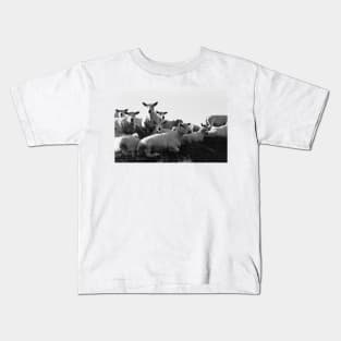 Norwegian Sheep Kids T-Shirt